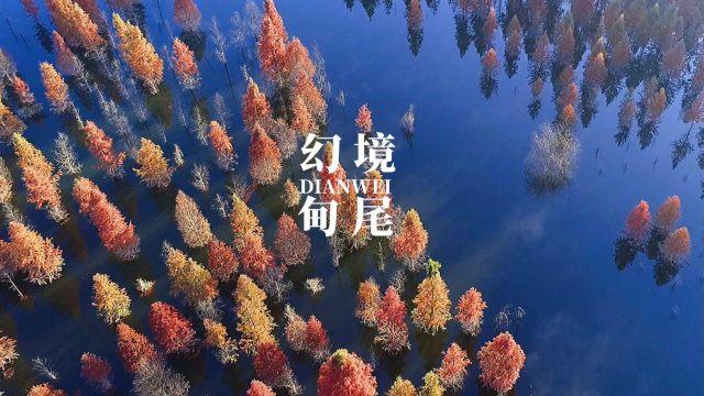 孤岛惊魂5