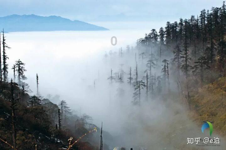 奥斯卡红毯秀
