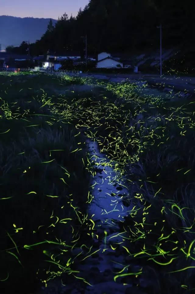 孤岛惊魂5
