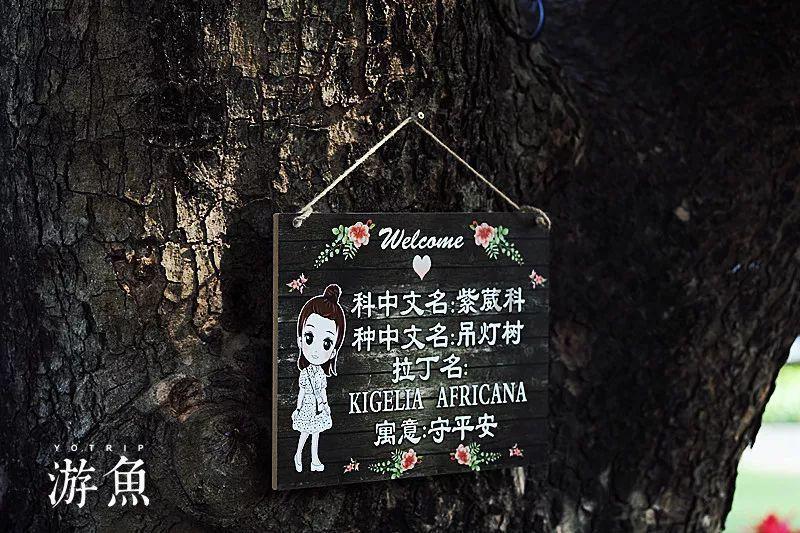 无锡至江阴城际轨道交通工程开通运营