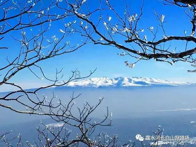 拉夫罗夫:俄中关系正值数百年来历史最佳时期