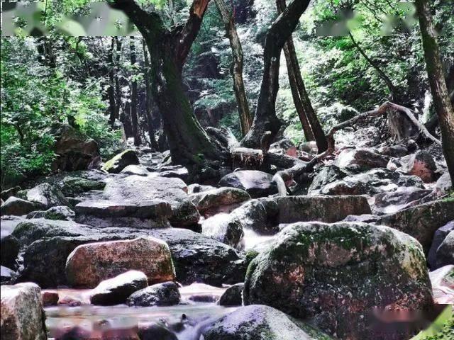 测试你的桃花运