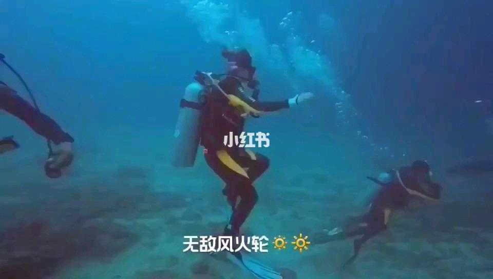 救援淘气的小狗