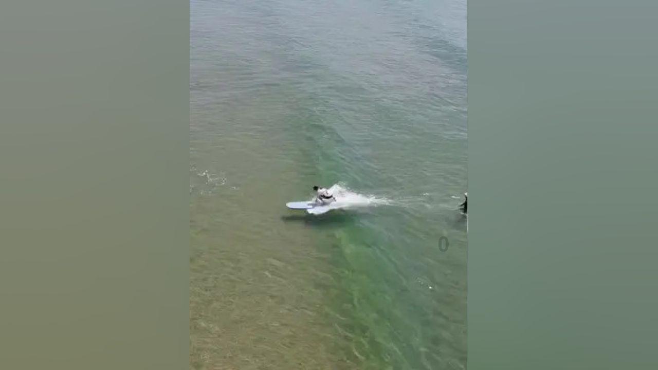 脑洞小老弟无实名认证
