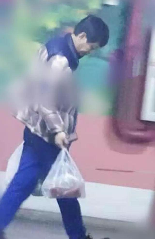 呆萌动物园