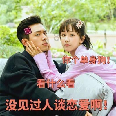 好消息！大连矮化密植大樱桃抢“鲜”上市