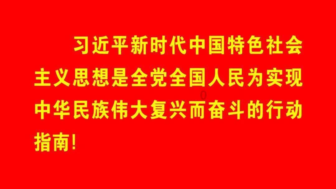 植物大战僵尸13