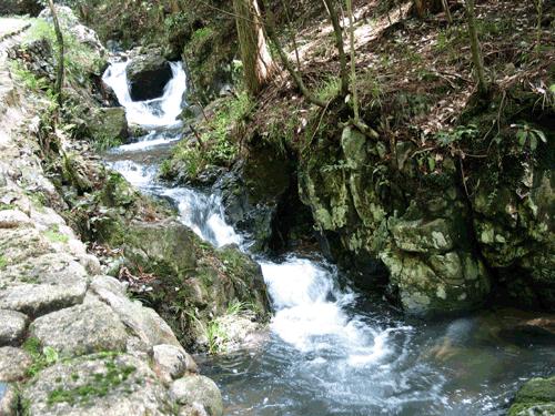 盘锦海域冰情简报(2024年1月25日)