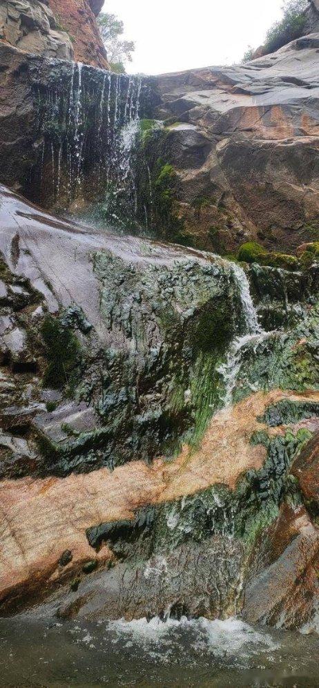 虫虫助手下载