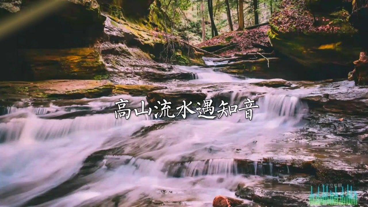 小猫钓鱼游戏龙王版有船