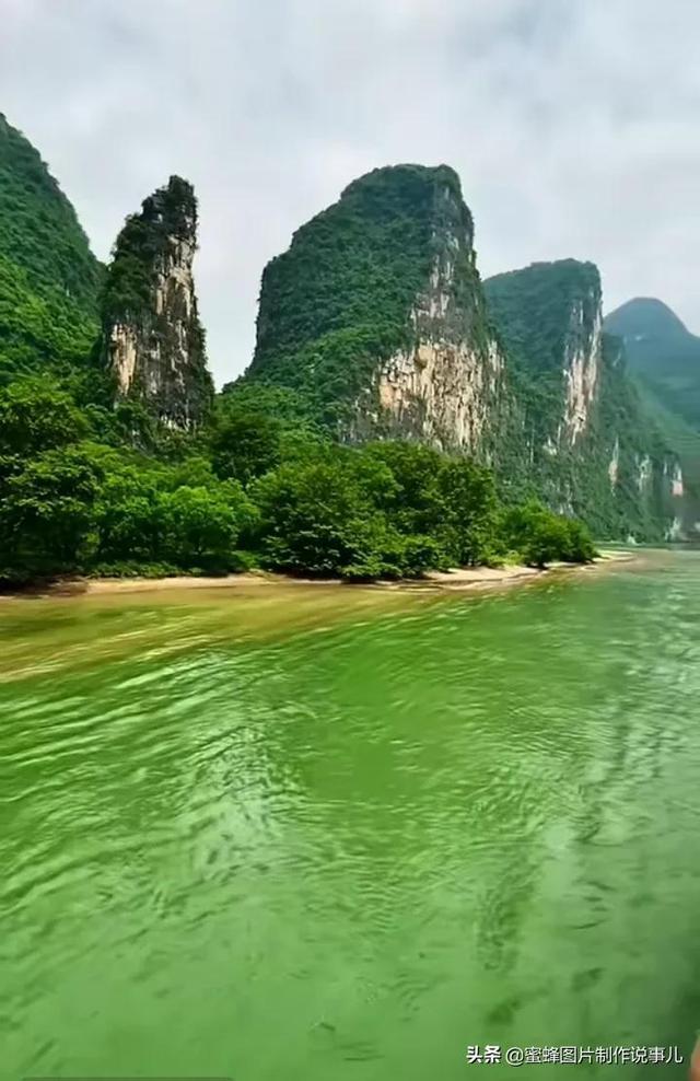 小哥花800元买了只小黑狗,发圈后竟有人出3000要买!