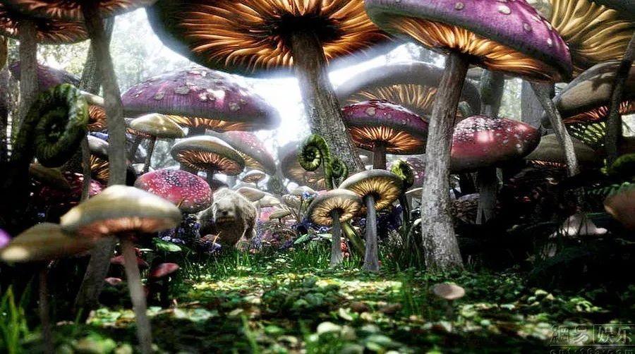 燃烧吧大脑免广告最新版