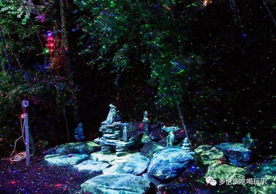 燃烧吧大脑免广告最新版