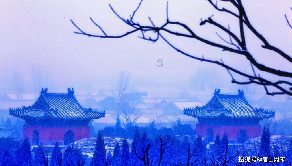 小汪汪